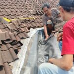 whatsapp image 2026 01 25 at 23.06.40